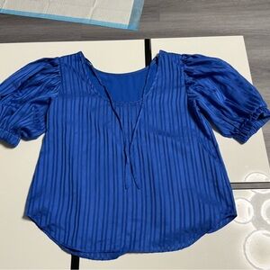 Ann Taylor Royal Blue Striped Blouse